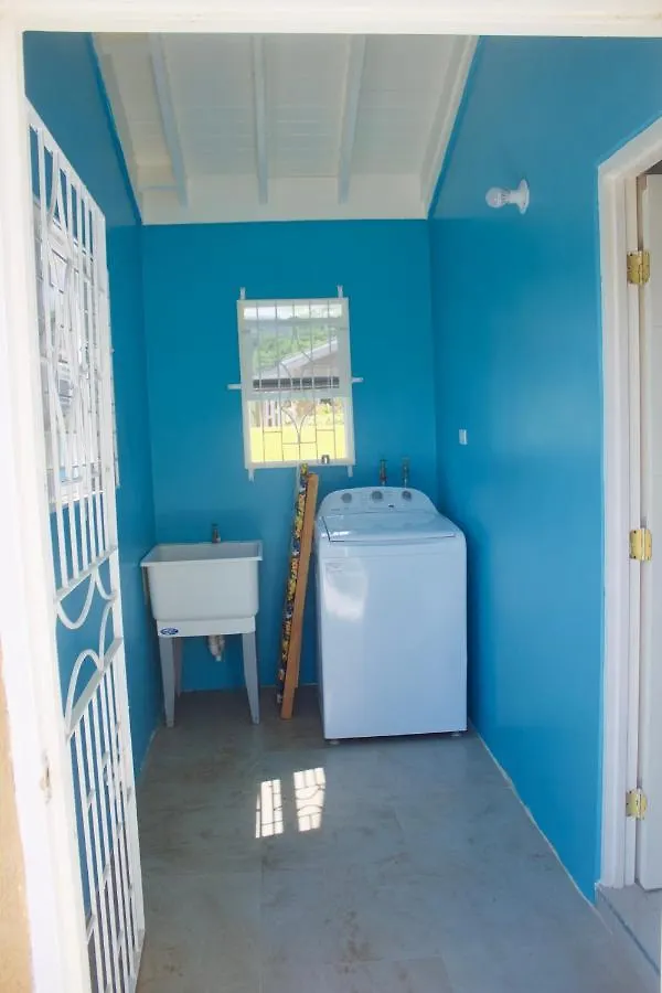 Villa Paradise Villa: Dual Properties with Private Pool and Gym Ocho Rios Jamaica